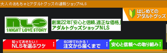 NLS 網站的頁首