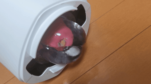 把 Mada Namae ga Arimasen 裝進 A10 Piston SA，來回抽插的樣子