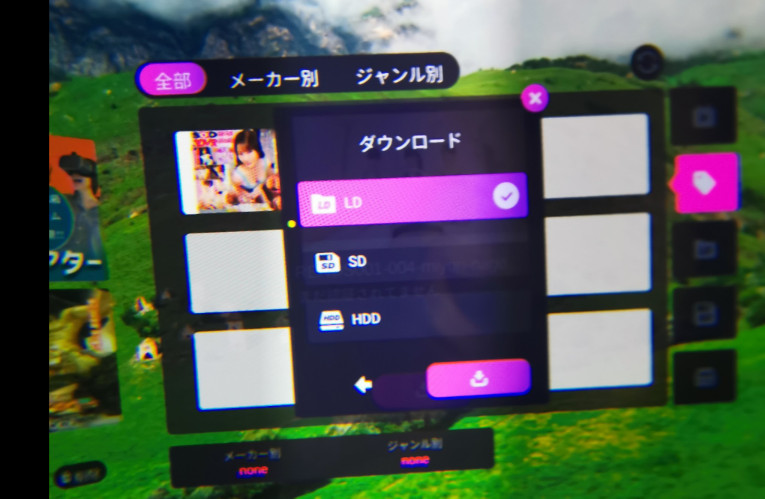 眼鏡內的下載選單：LD、SD 或 HDD