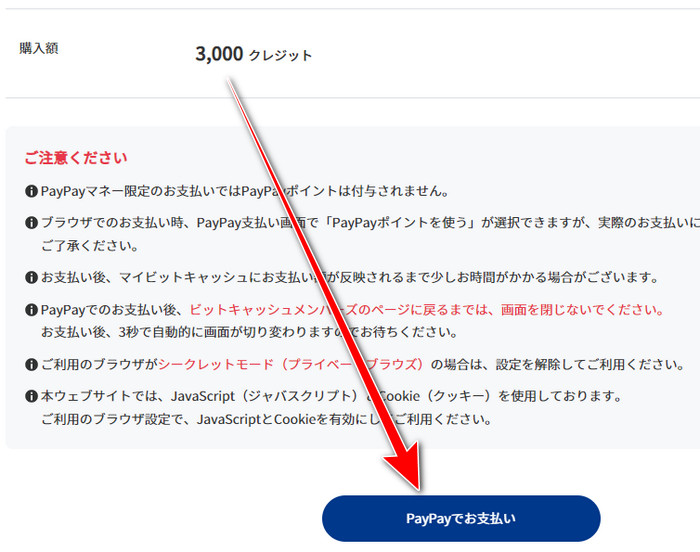 BitCash 確認頁和 PayPay 付款按鈕